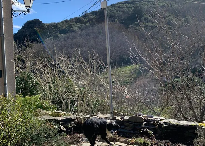 Dom wakacyjny Havre De Paix *